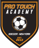 Pro Touch Soccer NY Logo